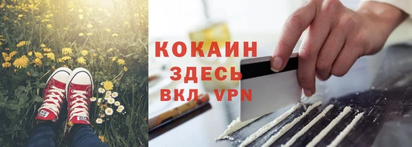 индика Остров