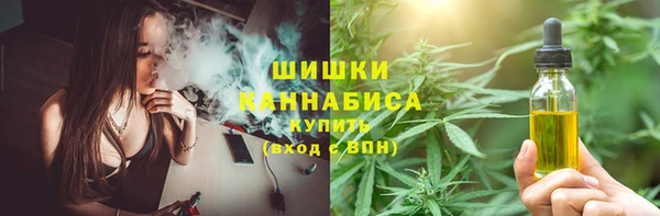 индика Остров