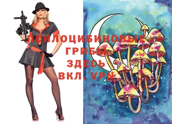 индика Остров