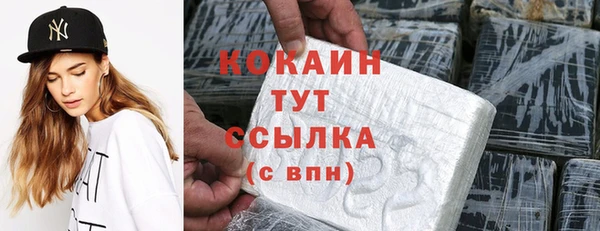 индика Остров