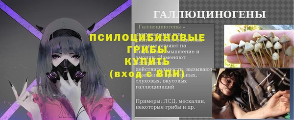 индика Остров