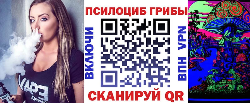 omg ссылка  Ленинградская  Псилоцибиновые грибы мицелий  дарнет шоп 