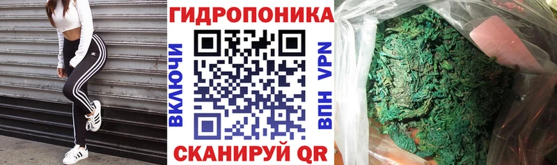 omg сайт  Ленинградская  Канабис White Widow 
